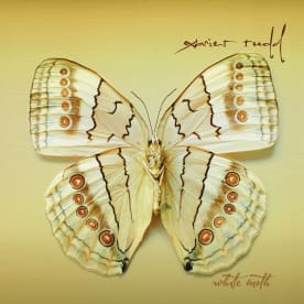 Xavier Rudd - White Moth