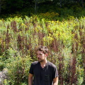 Fleet Foxes Announce Winter Solstice Livestream Performance, 'Shore' Arrives On All Physical Formats On February 5, 2021