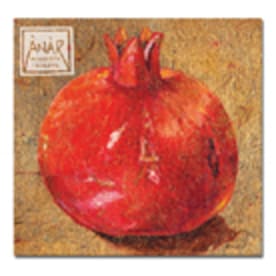 Anar CD